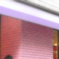 �����̂������т͂Ȃɂ�H�ׂ܂������H