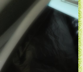 �������g���̂āH