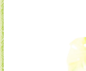 �u�Ȃ�ƂȂ��v�̐l�A�ڂ��o�܂��B