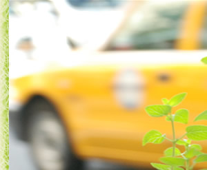 �����ȏꏊ�ŁAmy�A�C�e��