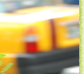 �����ȏꏊ�ŁAmy�A�C�e��