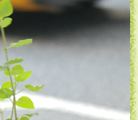 �����ȏꏊ�ŁAmy�A�C�e��