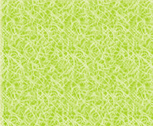 eco�ƕ�炻����@ONE�ł�my�o�b�Nmy�n�V�^����W�J���Ă��܂��B