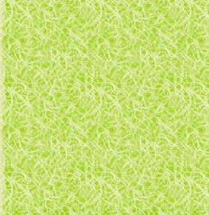 eco�ƕ�炻����@ONE�ł�my�o�b�Nmy�n�V�^����W�J���Ă��܂��B