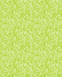 eco�ƕ�炻����@ONE�ł�my�o�b�Nmy�n�V�^����W�J���Ă��܂��B