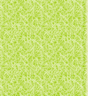 eco�ƕ�炻����@ONE�ł�my�o�b�Nmy�n�V�^����W�J���Ă��܂��B